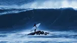 100 Foot Wave
