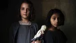 My Brilliant Friend TV Show Cancelled?