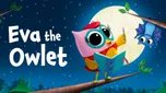 Eva the Owlet