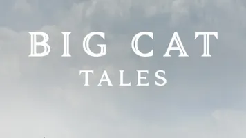 Big Cat Tales