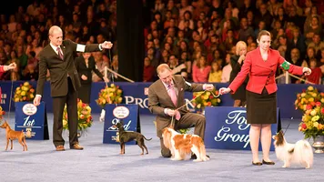 National Dog Show Presented by Purina