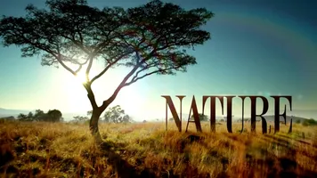 Nature PBS