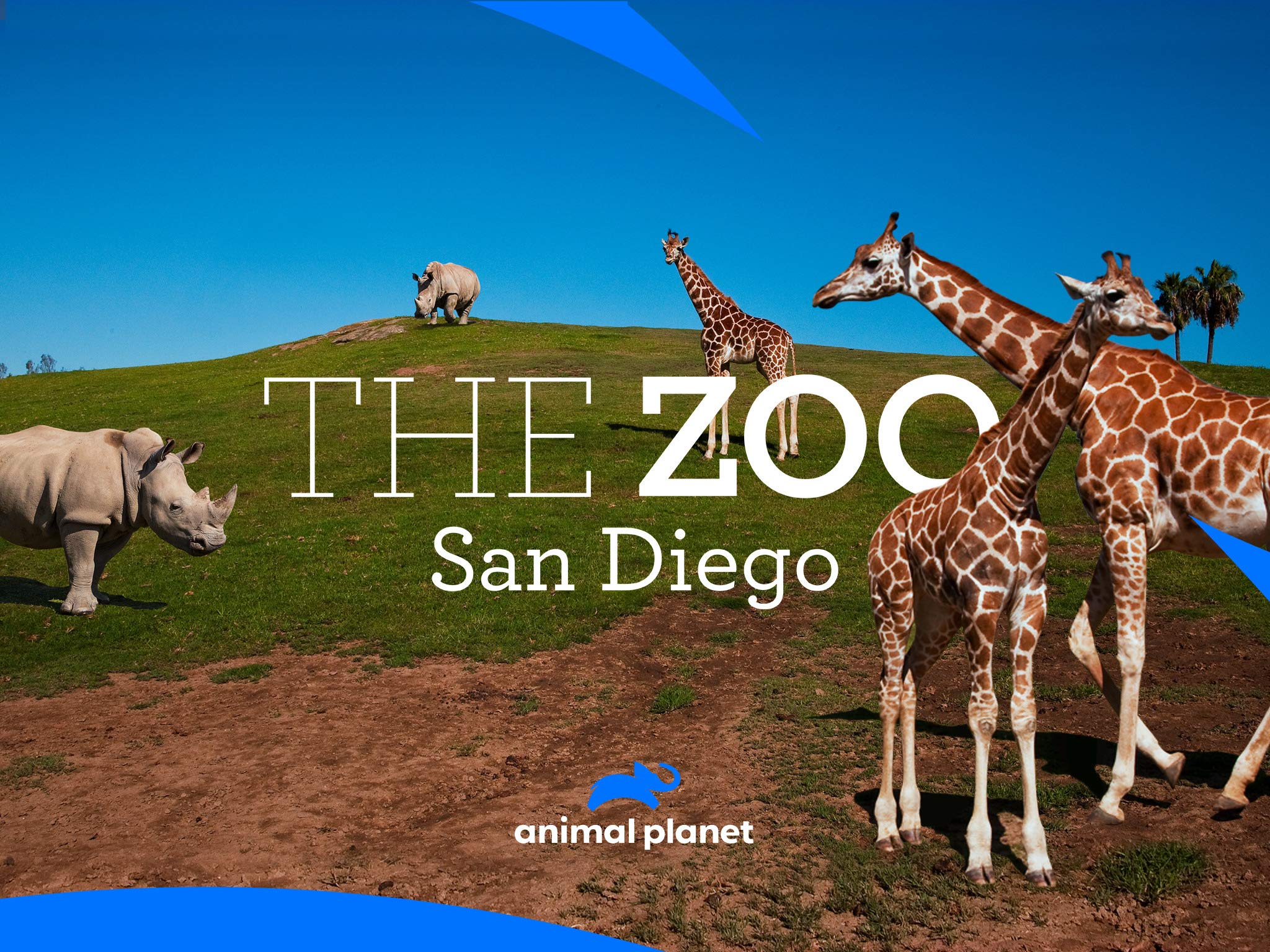 The Zoo San Diego Season 2 or Cancelled? Animal Renewal Status